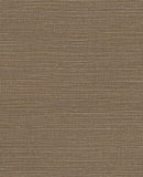 Canvas - 313503