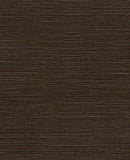 Canvas - 313504