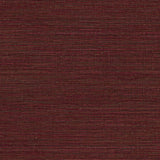 Canvas - 313505