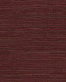 Canvas - 313505