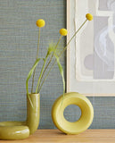 Canvas - 313507