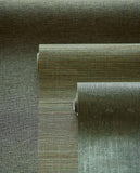 Canvas - 313509