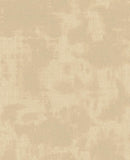 Canvas - 313520