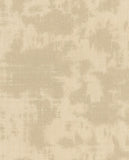 Canvas - 313520