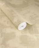 Canvas - 313520