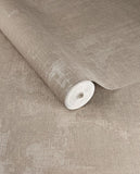 Canvas - 313521