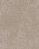 Canvas - 313521