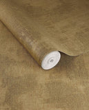 Canvas - 313525