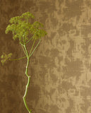 Canvas - 313525