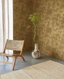 Canvas - 313525
