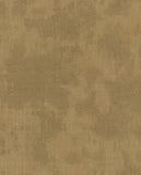 Canvas - 313525