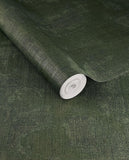 Canvas - 313526