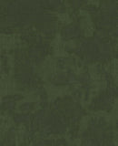 Canvas - 313526