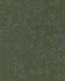 Canvas - 313526