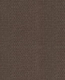 Canvas - 313531
