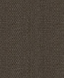 Canvas - 313531