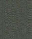 Canvas - 313532