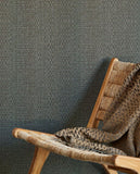 Canvas - 313532