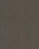 Canvas - 313532