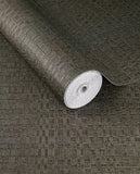 Canvas - 313532