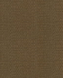 Canvas - 313533