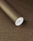 Canvas - 313533