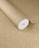 Canvas - 313534