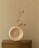 Canvas - 313534