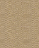 Canvas - 313534