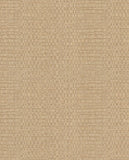 Canvas - 313534