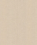 Canvas - 313535