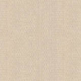 Canvas - 313535