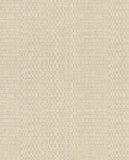 Canvas - 313535