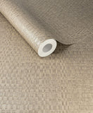 Canvas - 313536