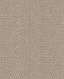 Canvas - 313536