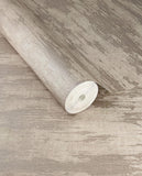 Canvas - 313540