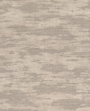 Canvas - 313540
