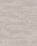 Canvas - 313540