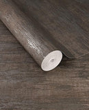 Canvas - 313541
