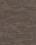 Canvas - 313541