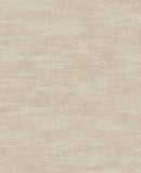 Canvas - 313542