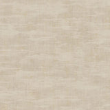 Canvas - 313542