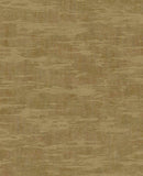 Canvas - 313543