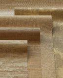 Canvas - 313543
