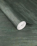 Canvas - 313544