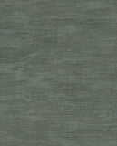 Canvas - 313544