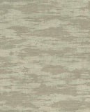Canvas - 313545