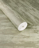 Canvas - 313545