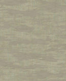 Canvas - 313545