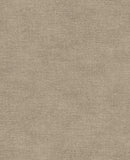 Canvas - 313551